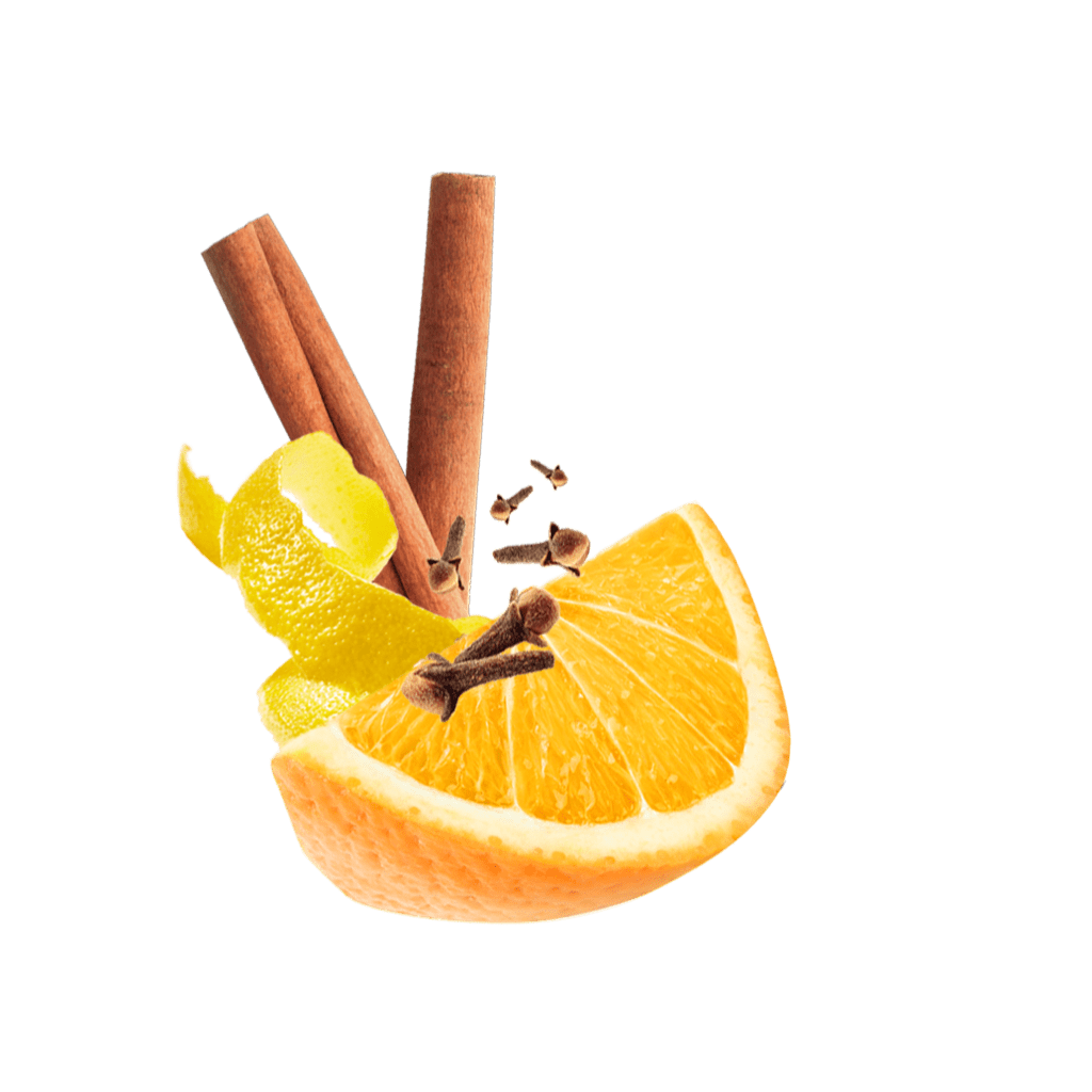 Orangenspalte, Zitronenschale, Zimtstangen und Nelken