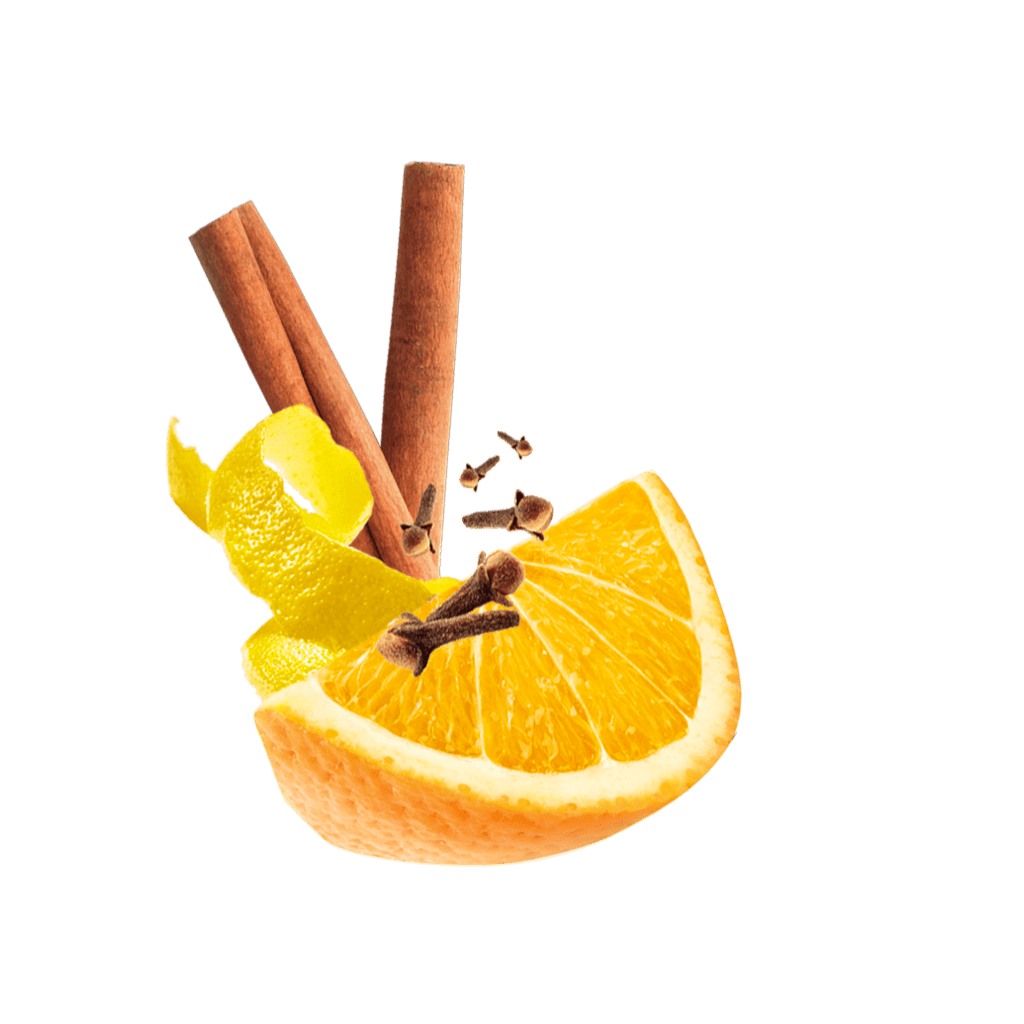 Orangenspalte, Zitronenschale, Zimtstangen und Nelken