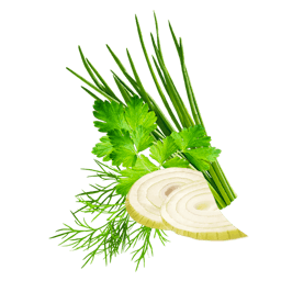 Salatkraeuter De Inhalt