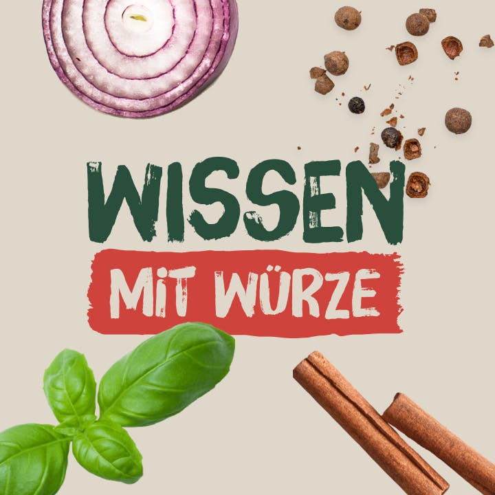 Wissen Mit Wuerze Campain Teaser Image (1)