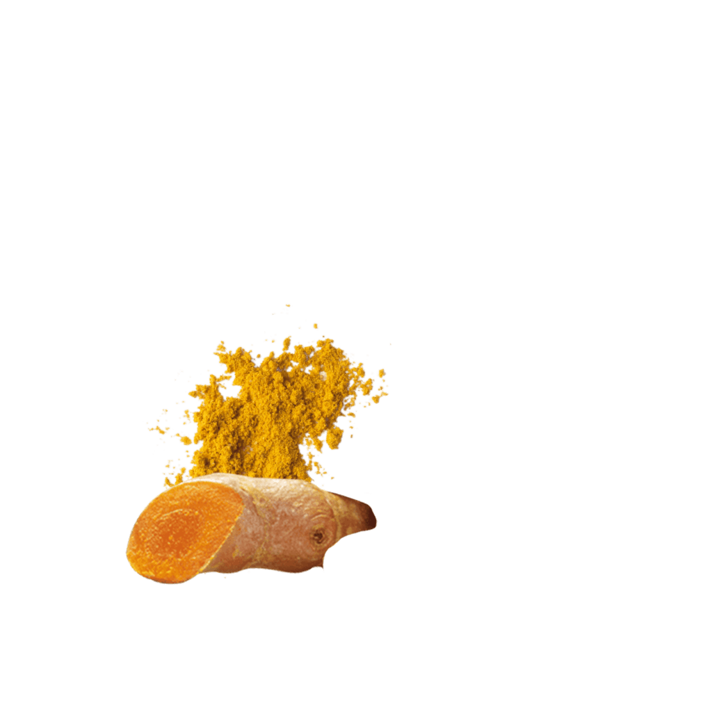 Ricechips Curry Detailbild 4
